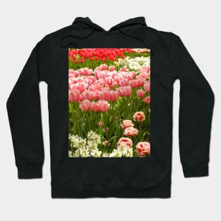 Beautiful Tulips, Keukenhof Tulip Festival, Holland Hoodie